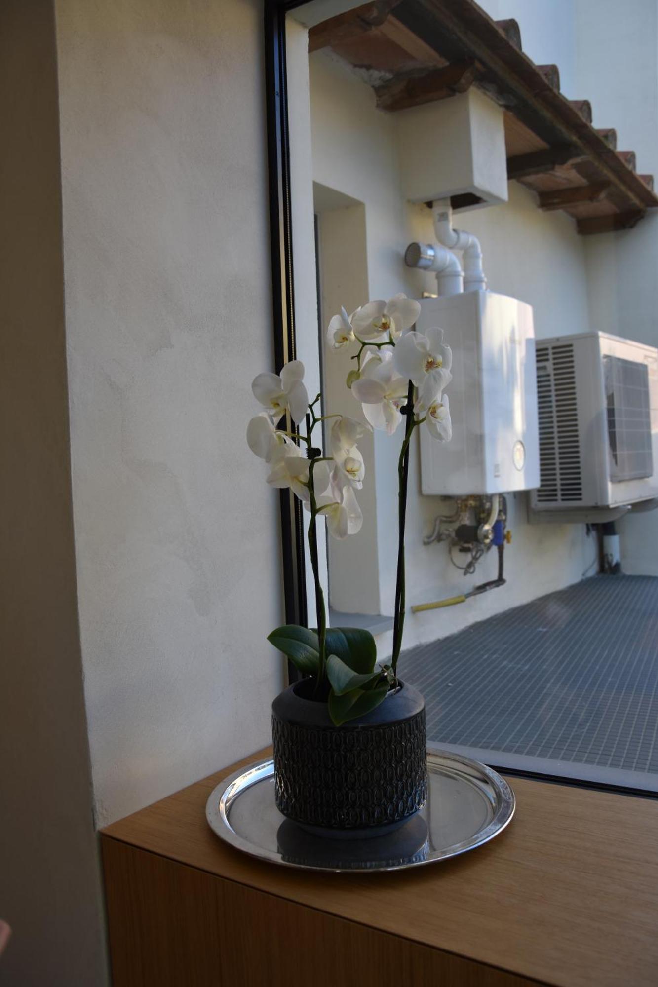 Il Giardino Di Dinda Appartement Arezzo Buitenkant foto